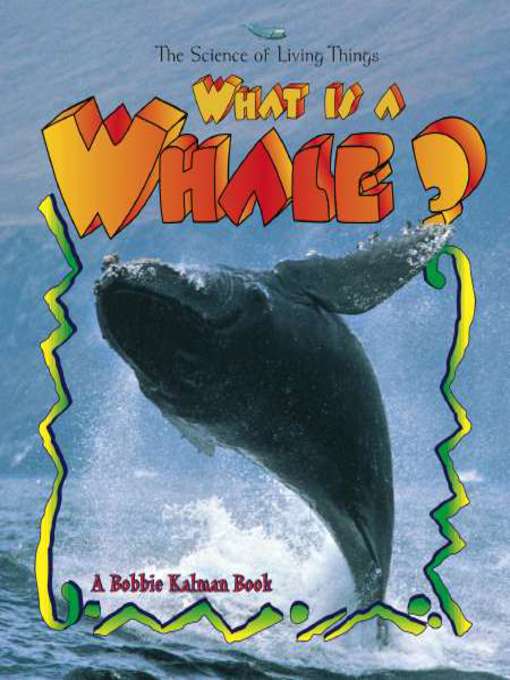 Title details for What is a Whale? by Bobbie Kalman - Available